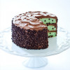 Preparado Cake Menta+ Pepitas Chocolate 500GR